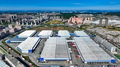 将无力县以桔瑞森为引领